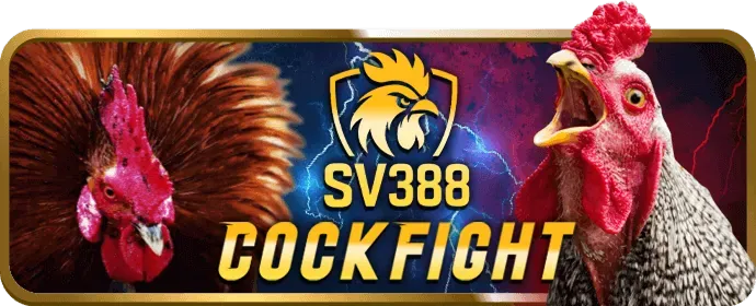 Đa dạng các môn thể thao khác như e-sports, bóng chuyền